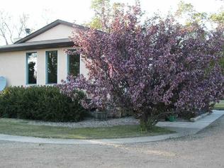 Rural
Residential
